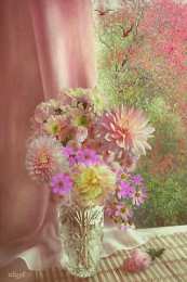 Открытки с космеями  Открытки с космеями анимационные. Открытки с космеями gif.  