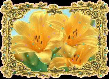 Открытки с желтыми лилиями  Открытки с желтыми лилиями gif. Открытки с желтыми лилиями скачать.