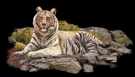 Открытки с белым тигром Открытки с белым тигром скачать. Открытки с белым тигром бесплатно.