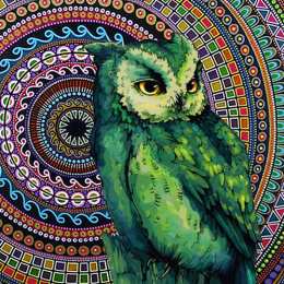 Открытки с совами  Открытки с совами скачать. Открытки с совами бесплатно онлайн.