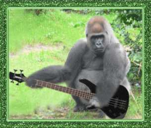 Открытки с обезьянами Открытки с обезьянами gif. Открытки с обезьянами скачать бесплатно.