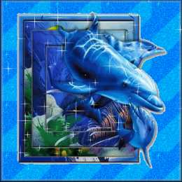Открытки с дельфинами Открытки с дельфинами с анимациями. Открытки с дельфинами скачать.