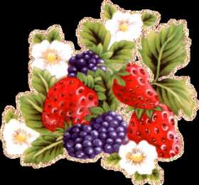 Открытки с ягодами Открытки с ягодами скачать бесплатно. Открытки с ягодами онлайн.