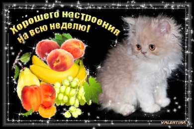 Открытки удачной недели Открытки удачной недели скачать. Открытки удачной недели бесплатно.