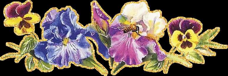 Открытки с ирисами  Открытки с ирисами скачать. Открытки с ирисами бесплатно онлайн.