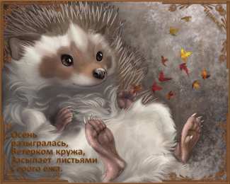 Открытки с ёжиками Скачать бесплатно открытки с ёжиками. Открытки с ёжиками gif.