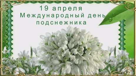 Открытки с днём подснежника Открытки с днём подснежника gif. Открытки с днём подснежника скачать.