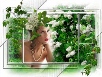 Открытки с белой сиренью  Открытки с белой сиренью анимационные. Открытки с белой сиренью gif.