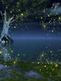 Открытки со светлячками  Открытки со светлячками с анимациями. Лесные светлячки открытки.