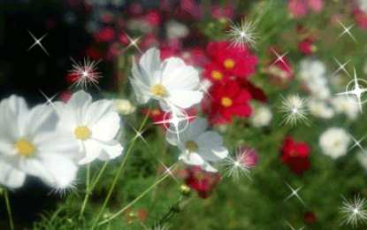 Открытки с космеями  Открытки с космеями анимационные. Открытки с космеями gif.  