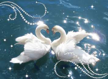Открытки с лебедями  Открытки с лебедями скачать. Открытки с лебедями бесплатно. 