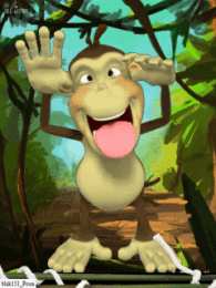 Открытки с обезьянами Открытки с обезьянами gif. Открытки с обезьянами скачать бесплатно.