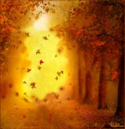 Открытки с осенним лесом Открытки с осенним лесом скачать. Открытки с осенним лесом бесплатно.