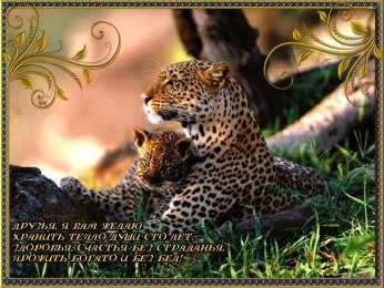 Открытки с леопардом Открытки с леопардом скачать. Открытки с леопардом бесплатно.