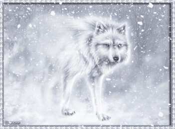 Открытки с волками Анимационные открытки с волками. Скачать открытки с волками gif.