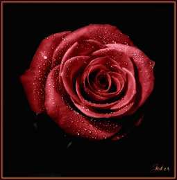 Открытки с розами Открытки с розами скачать бесплатно Открытки с розами онлайн.