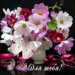 Открытки с космеями  Открытки с космеями анимационные. Открытки с космеями gif.  