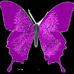 Открытки с бабочками  Открытки с бабочками с анимациями. Открытки с бабочками gif.