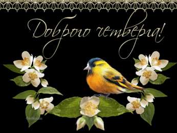 Открытки на четверг Привет четверг. Открытки с приколами и пожеланиями на четверг