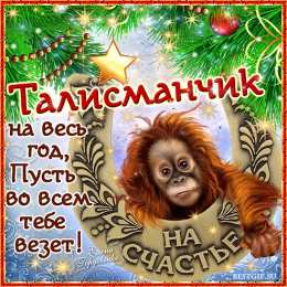 Открытки с обезьянами Открытки с обезьянами gif. Открытки с обезьянами скачать бесплатно.