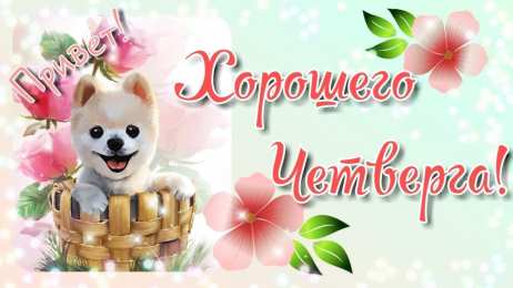 Открытки на четверг Привет четверг. Открытки с приколами и пожеланиями на четверг