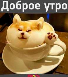 Открытки с добрым утром Позитивные открытки с пожеланиями доброго утра для родных и любимых