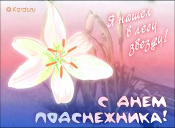 Открытки с днём подснежника Открытки с днём подснежника gif. Открытки с днём подснежника скачать.