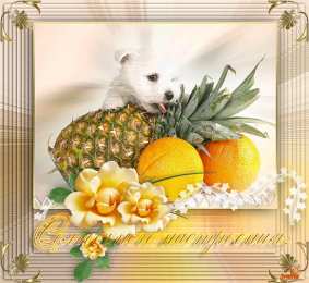 Открытки с собаками Анимационные открытки с собаками. Скачать бесплатно открытки с собаками.