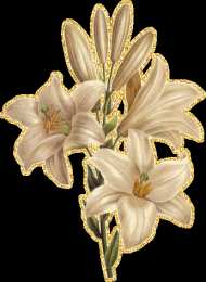 Открытки с лилейниками  Открытки с лилейниками анимационные. Открытки с лилейниками gif.