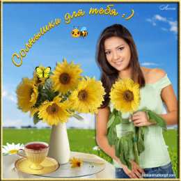 Открытки с подсолнухами Открытки с подсолнухами скачать бесплатно. Открытки с подсолнухами gif.