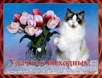 Открытки хороших выходных Скачать бесплатно открытки с пожеланиями хороших выходных дней. 