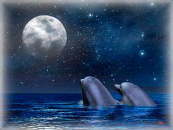 Открытки с дельфинами Открытки с дельфинами с анимациями. Открытки с дельфинами скачать.