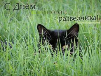 Открытки с днём военного разведчика Открытки с днём военного разведчика скачать бесплатно с поздравлениями.