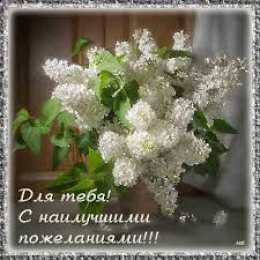 Открытки с белой сиренью  Открытки с белой сиренью анимационные. Открытки с белой сиренью gif.