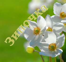 Открытки с именем Зинаида Открытки с именем Зинаида скачать бесплатно. Открытки с именем Зина.