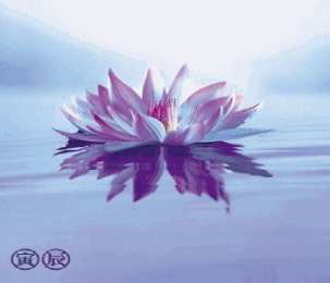 Открытки с лотосом  Открытки с лотосом анимационные. Блестящие открытки с лотосом.