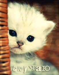 Открытки скучаю по тебе  Открытки скучаю по тебе с признанием скачать бесплатно gif.