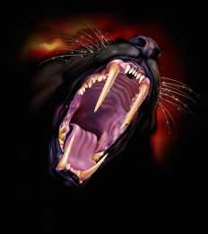 Открытки с пантерой Открытки с пантерой скачать бесплатно. Открытки с пантерой gif.