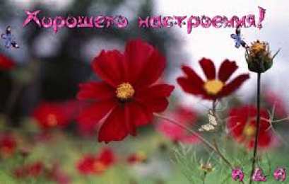 Открытки с космеями  Открытки с космеями анимационные. Открытки с космеями gif.  