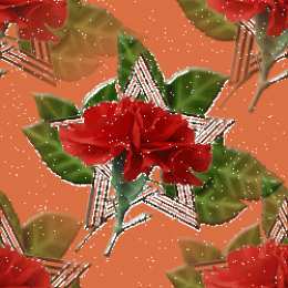 Открытки с гвоздиками  Открытки с гвоздиками скачать. Открытки с гвоздиками онлайн.