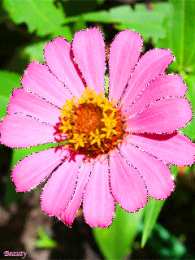 Открытки с космеями  Открытки с космеями анимационные. Открытки с космеями gif.  