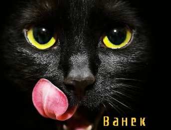 Открытки с именем Иван С днём рождения Ваня открытки. Открытки с именем Иван скачать бесплатно.