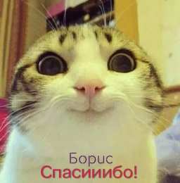 Открытки с именем Борис Открытки с именем Борис скачать бесплатно. Открытки с именем Борис gif.