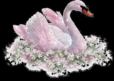 Открытки с лебедями  Открытки с лебедями скачать. Открытки с лебедями бесплатно. 