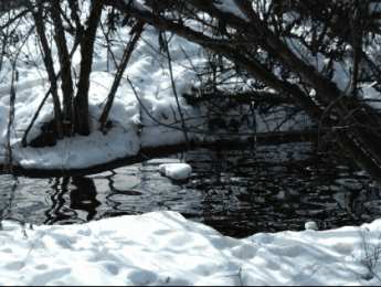 Открытки с ручьями  Открытки с ручьями с анимациями. Красивые открытки с ручьями.