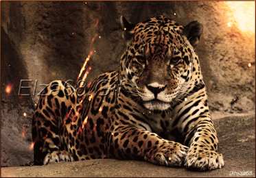 Открытки с леопардом Открытки с леопардом скачать. Открытки с леопардом бесплатно.