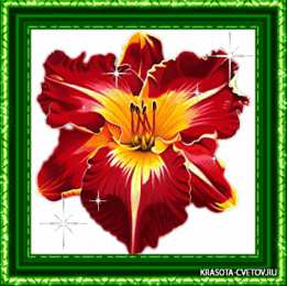 Открытки с лилейниками  Открытки с лилейниками анимационные. Открытки с лилейниками gif.