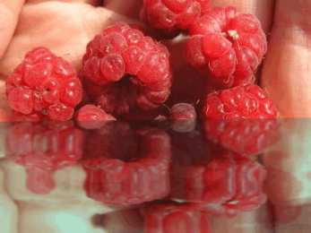 Открытки с ягодами Открытки с ягодами скачать бесплатно. Открытки с ягодами онлайн.