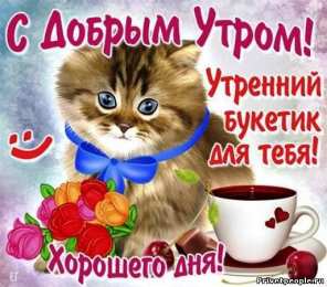 Открытки с добрым утром Открытки поздравления с добрым утром 