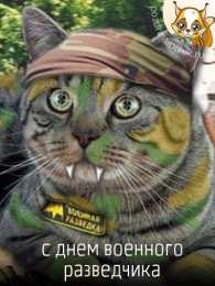 Открытки с днём военного разведчика Открытки с днём военного разведчика скачать бесплатно с поздравлениями.